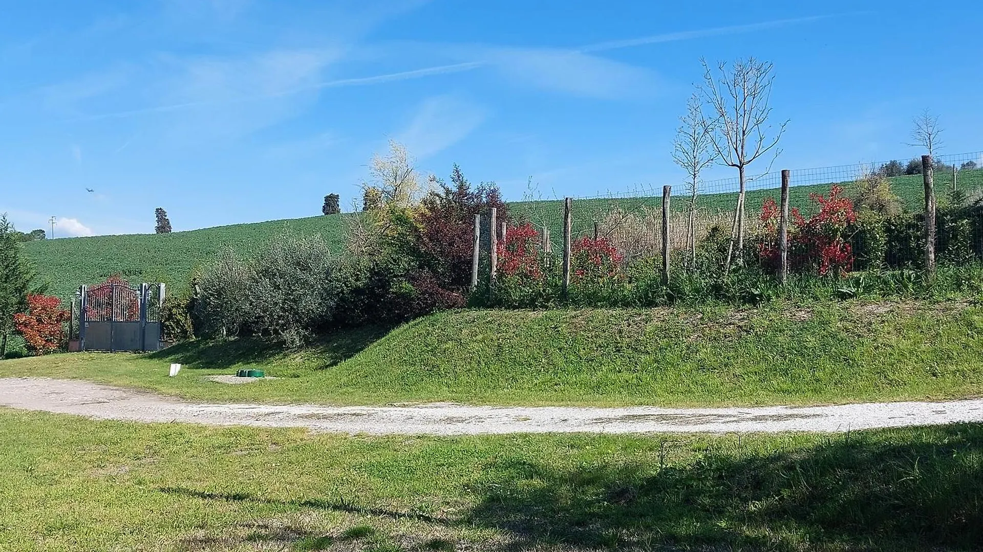 Casa vacanze Appartamento indipendente con piscina e giardino Empoli Italia