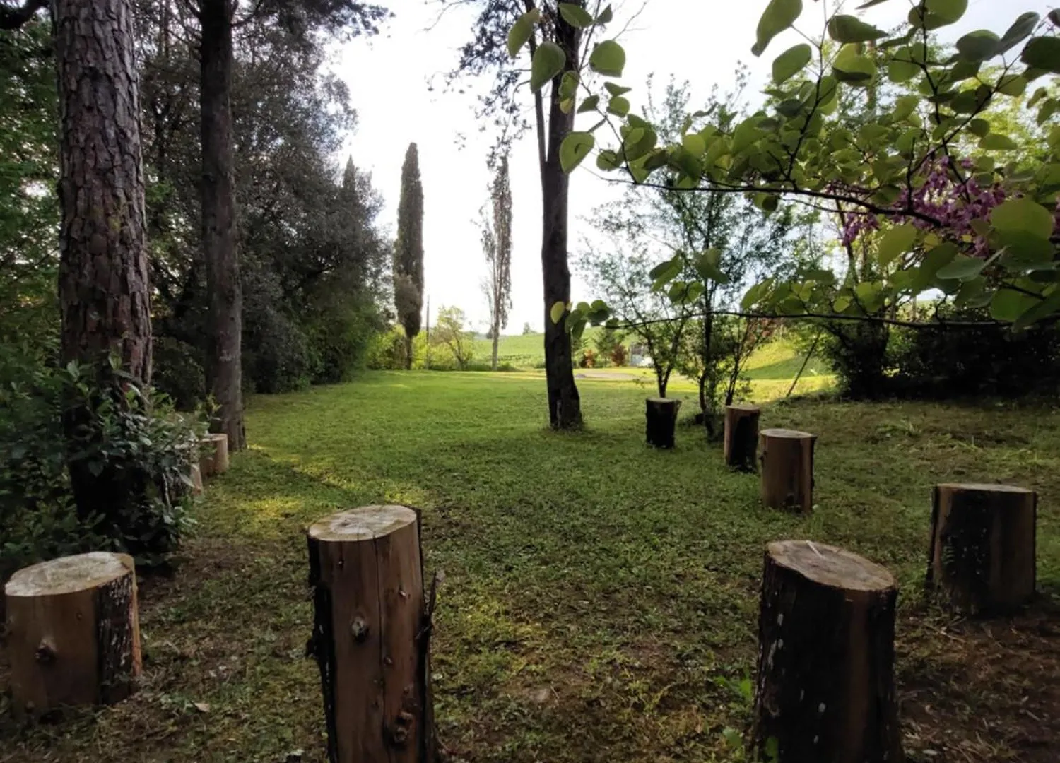 Casa vacanze Appartamento indipendente con piscina e giardino Empoli
